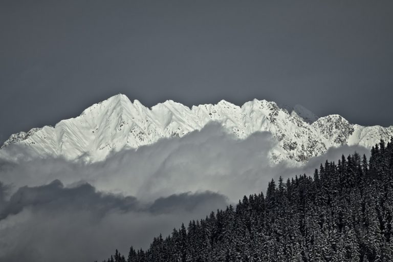 20101218-BuchebnerPeter-IMG_1024